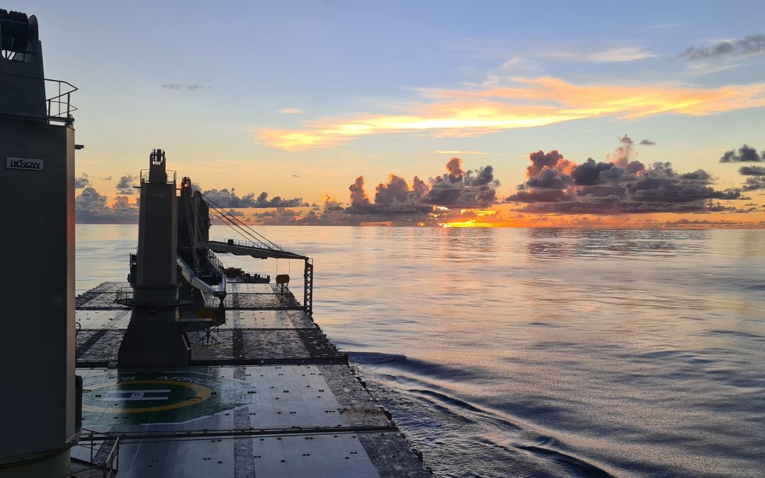 Gearbulk Releases 2024 Annual Reports: Sailing Towards New Horizons